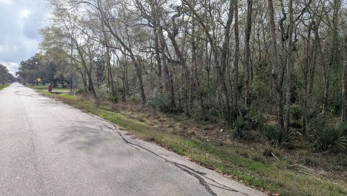 19910 County Road 684a, Sweeny, TX 77480 - #1