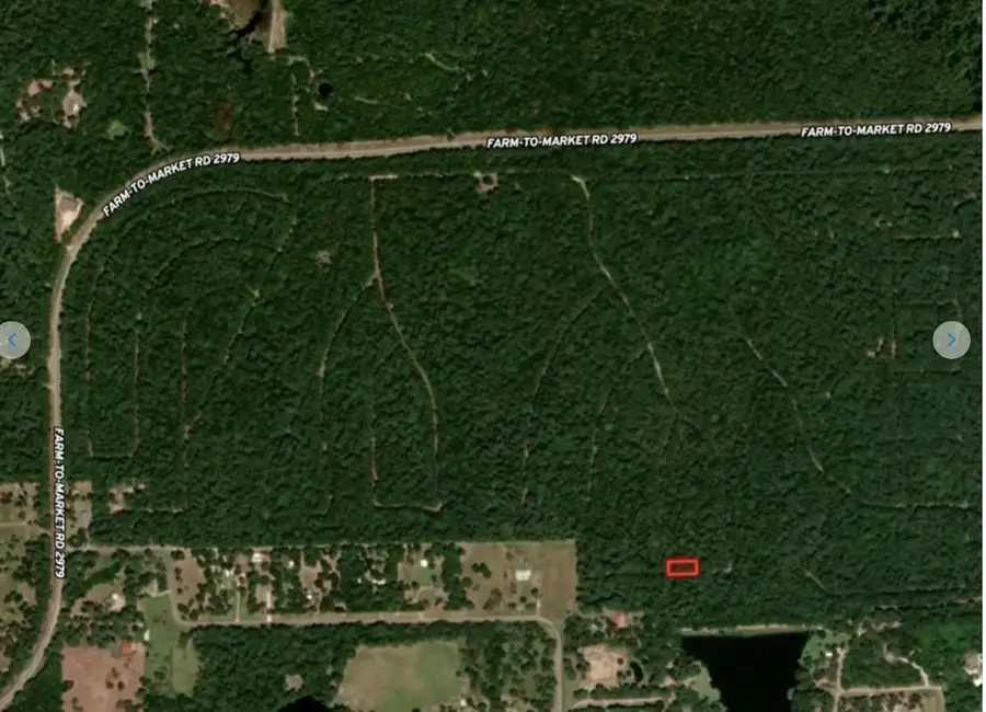 30810 Papoose Drive, Hempstead, TX 77445 - Image #2