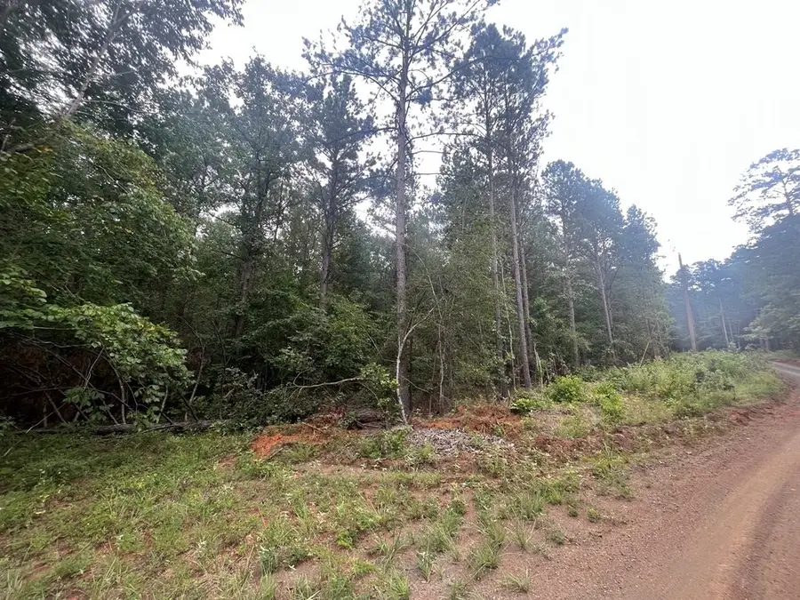 Tract 57 Fm 1751, San Augustine, TX 75972 - Image #2