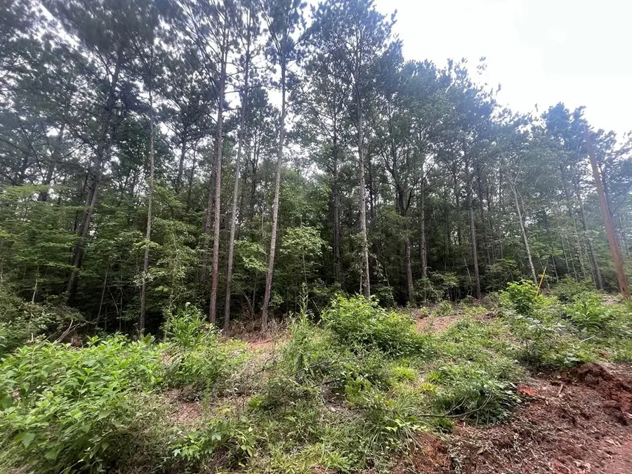 Tract 57 Fm 1751, San Augustine, TX 75972 - Image #3