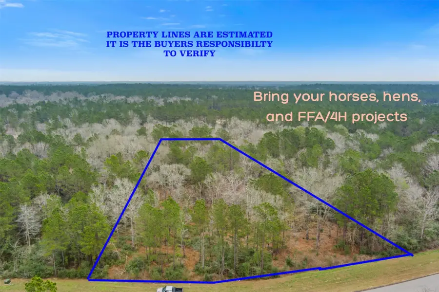 10751 Ruger Road, Willis, TX 77378 - #2