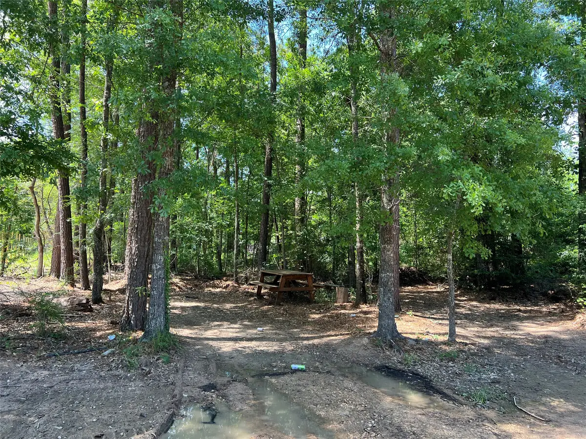 000 Three South, Splendora, TX 77372 - #1