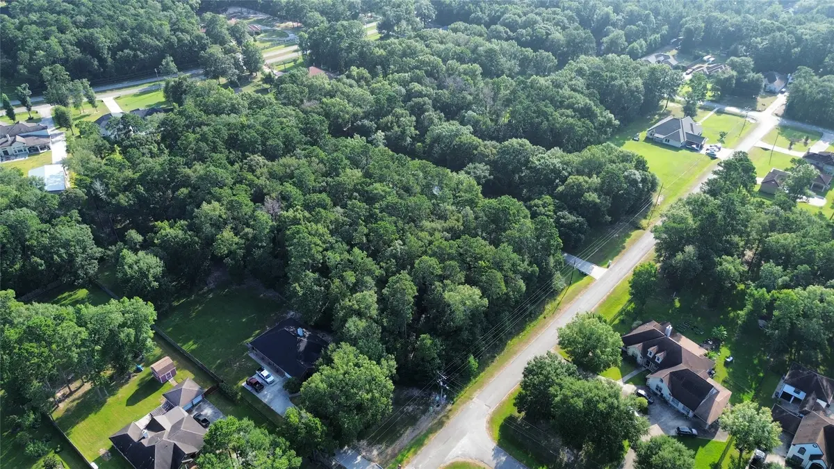 19353 Elbe Drive, Porter, TX 77365 - #1