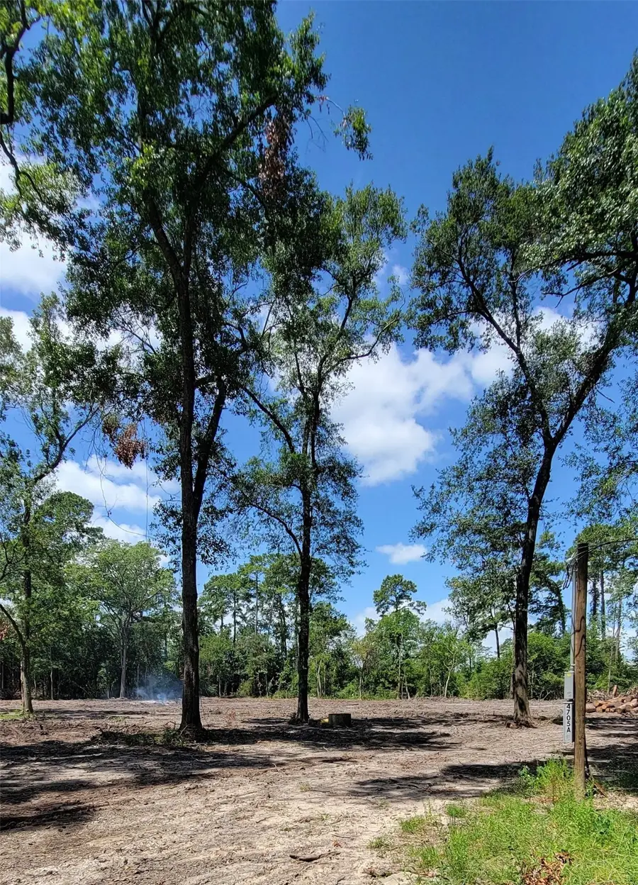 4705 Lauder Road, Houston, TX 77039 - Image #2