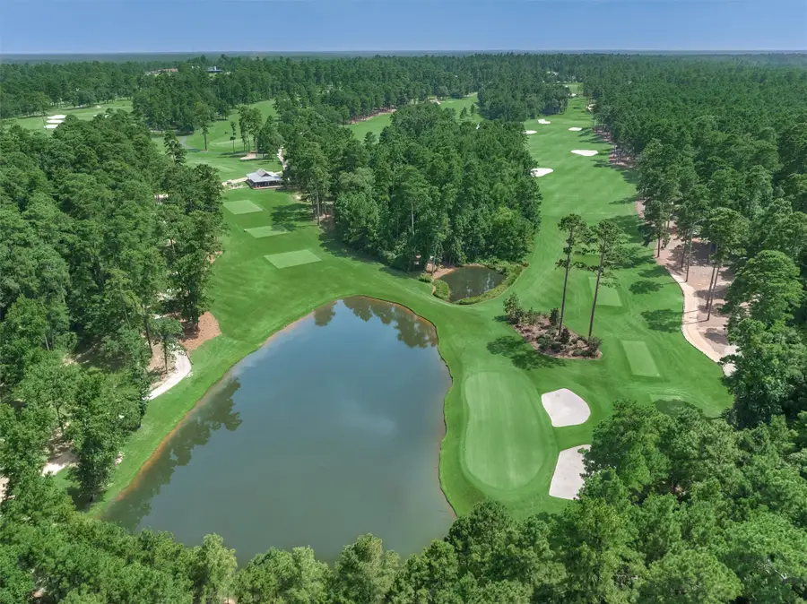 4477 Lily Bean Road, Montgomery, TX 77316 - #3