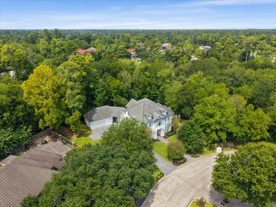 17310 Cedar Placid Lane, Houston, TX 77068 - #2