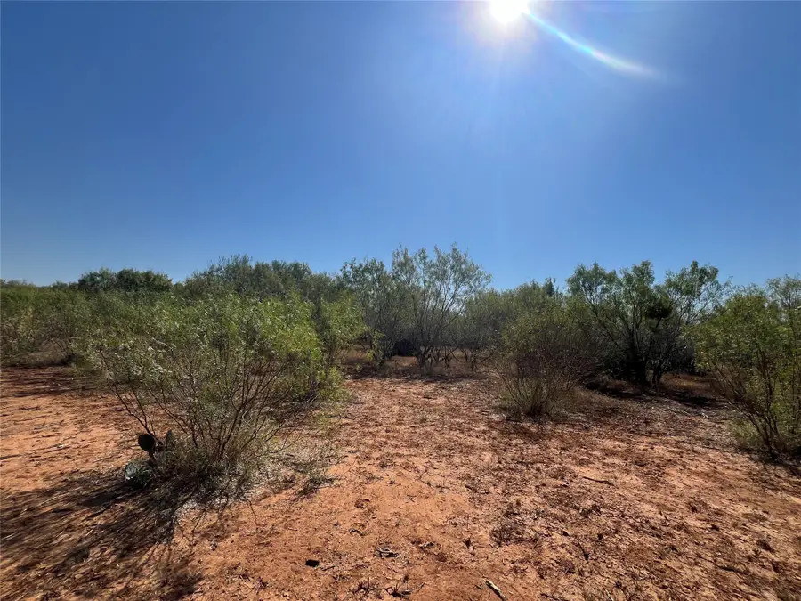 100 Cr 321 Tract 8, Jourdanton, TX 78026 - Image #2