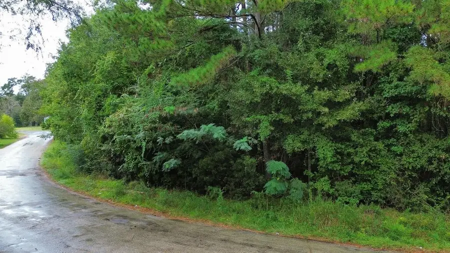 .66 Cr 451, Kirbyville, TX 75956 - #2