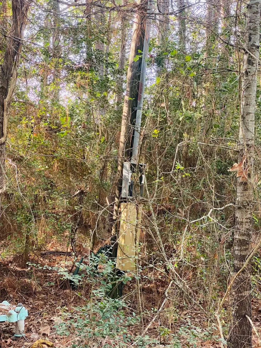 14218 Fm-356, Trinity, TX 75862 - Image #2