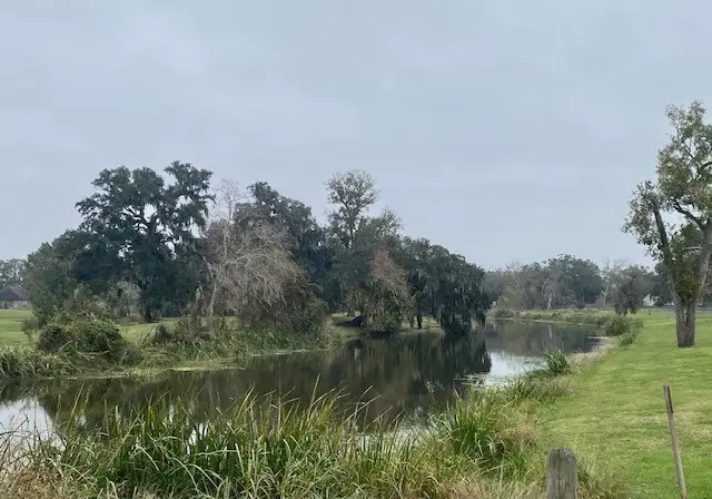 218 Cattle Drive Trail, Angleton, TX 77515 - #3
