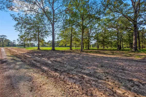 6087 Alans Memorial Lane, New Waverly, TX 77358