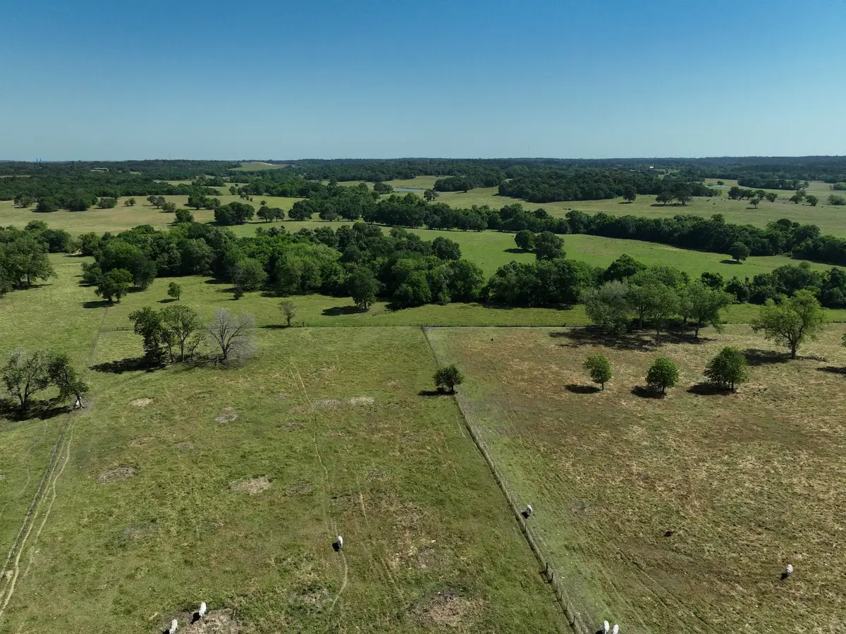 Tract #7 Cr 305 Road, Navasota, TX 77868 - Image #1