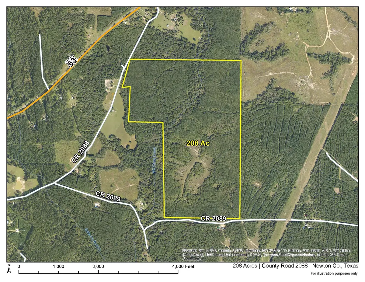 1 County Road 2088, Burkeville, TX 75932 - #1