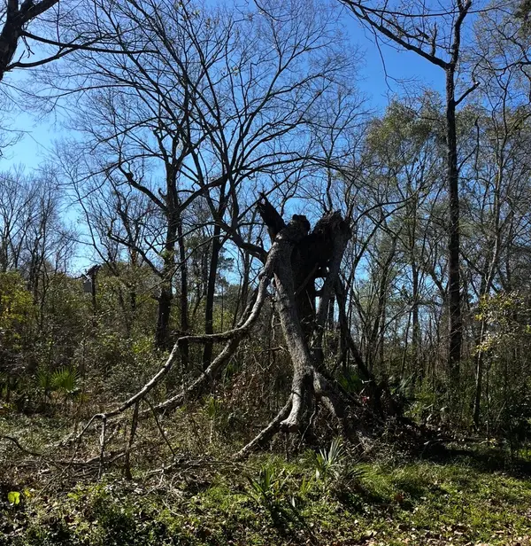 0 Elm Street, Huffman, TX 77336