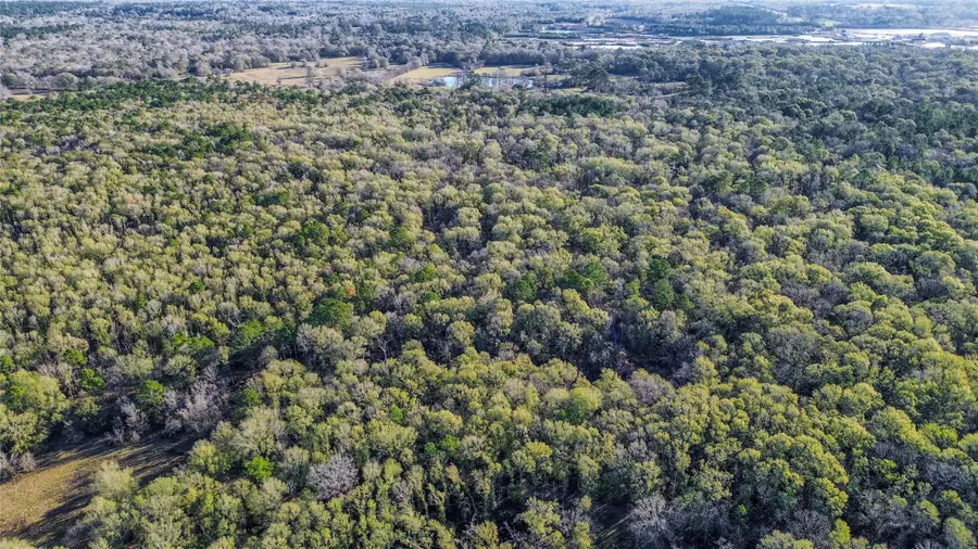 0 Brown Rd, Cleveland, TX 77328 - Image #3