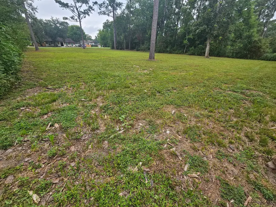 2211 Hickory Manor Drive, Huffman, TX 77336 - Image #2