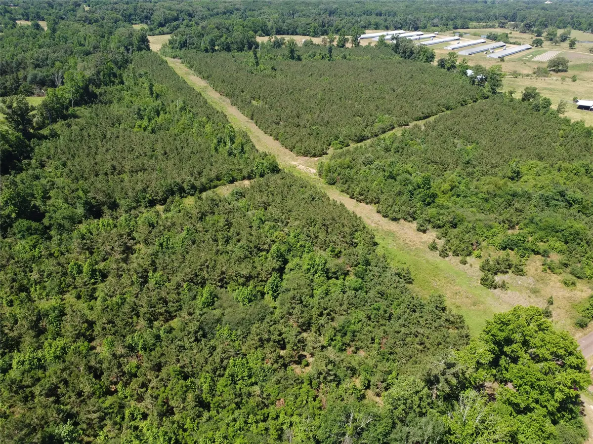 2 TBD County Road 295, Garrison, TX 75946 - #1