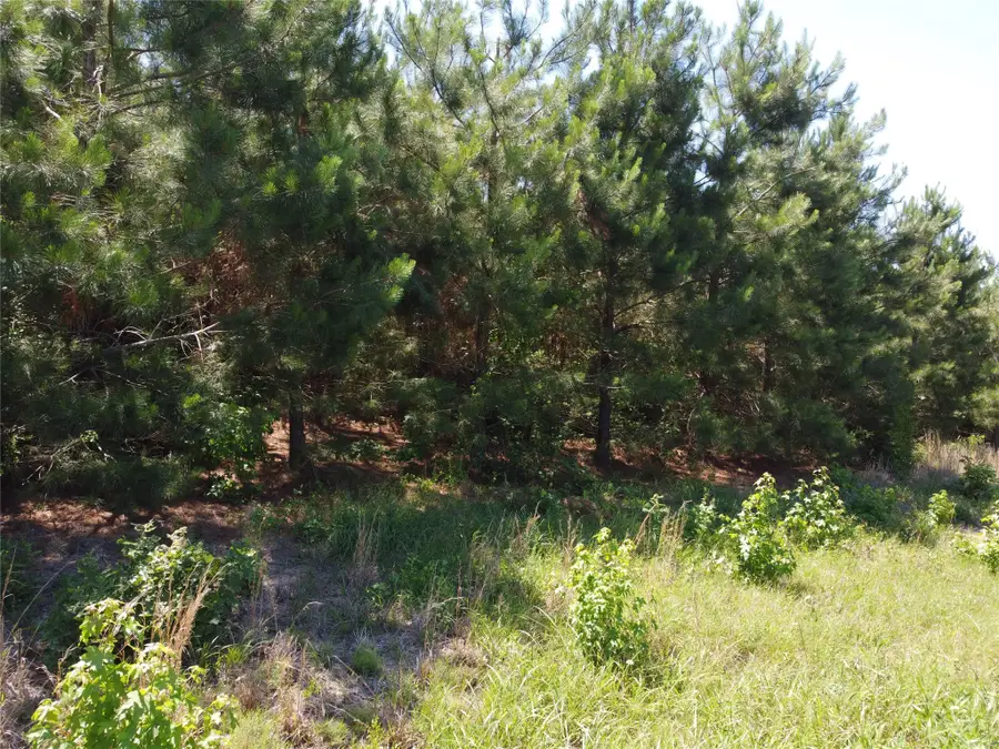 2 TBD County Road 295, Garrison, TX 75946 - #3