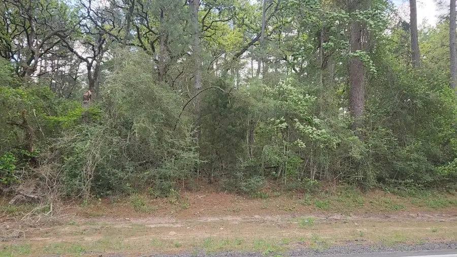 Lot 1 N Council Drive, Hempstead, TX 77445 - #2