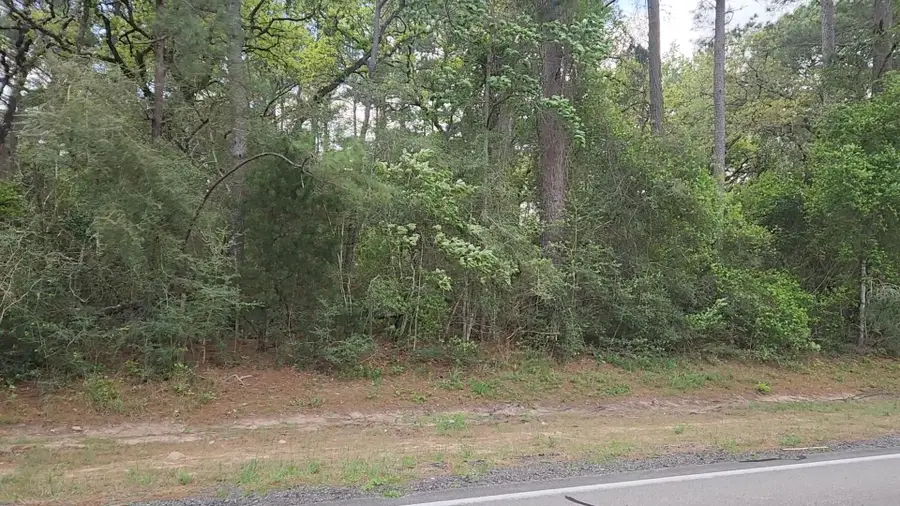 Lot 1 N Council Drive, Hempstead, TX 77445 - #3