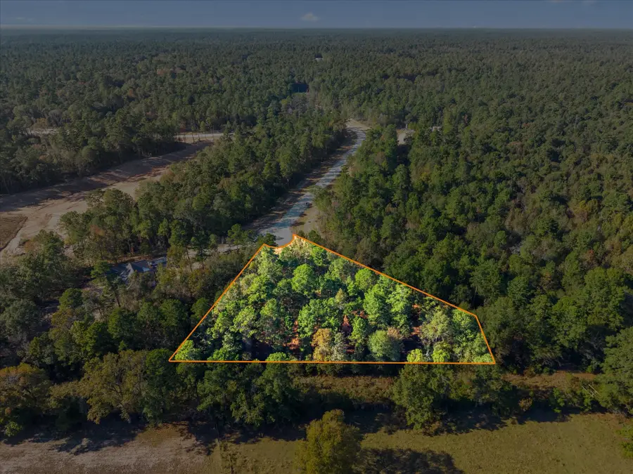 195 Bunkhouse Road, New Waverly, TX 77358 - #3