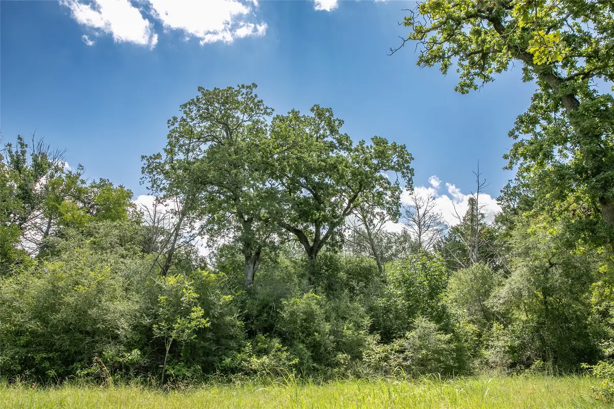 TBD Fm 594, Burton, TX 77835 - Image #1