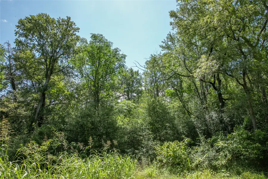 TBD Fm 594, Burton, TX 77835 - Image #2