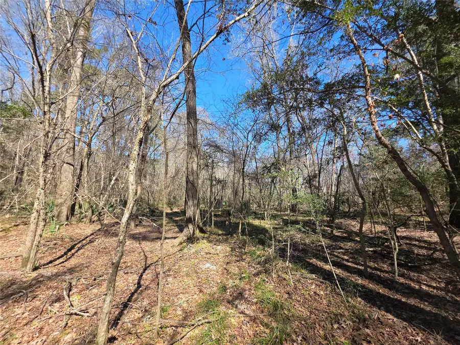 TBD Fm 156, Coldspring, TX 77331 - #2