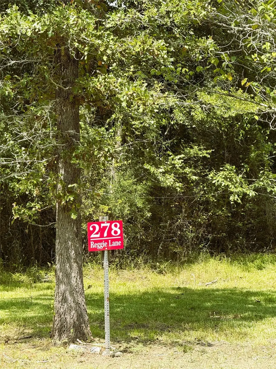 278 Reggie Lane, Trinity, TX 75862 - Image #3