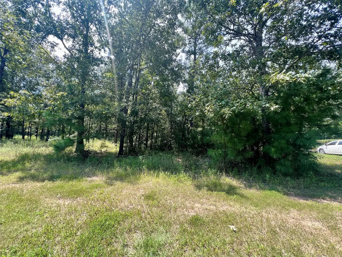 TBD Hidden Oaks Drive, Point Blank, TX 77364 - #1