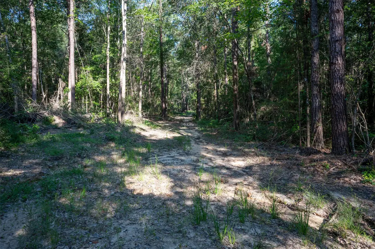 tbd County Rd 3000, Woodville, TX 75979 - Image #1