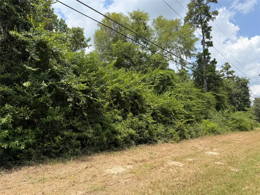 19895 Martha Road, Montgomery, TX 77316 - #2