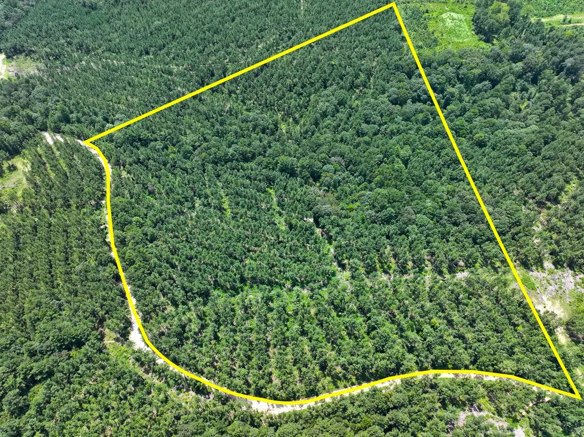 0 Slim Palmer Rd, Zavalla, TX 75980 - Image #1