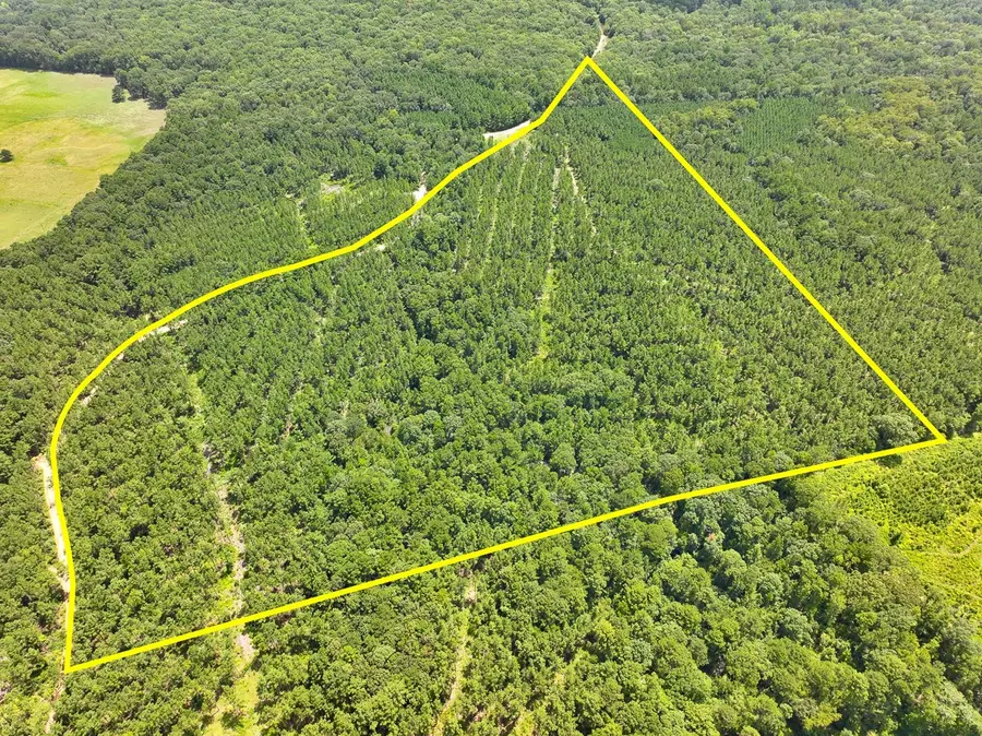 0 Slim Palmer Rd, Zavalla, TX 75980 - Image #2