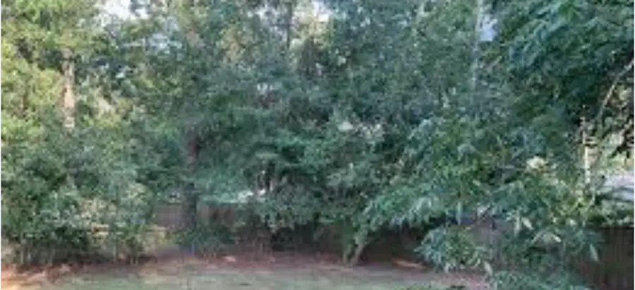 603 Marrow, Lufkin, TX 75904 - Image #3