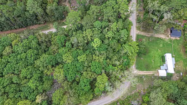 Lot 74 The Woods Road, Coldspring, TX 77331