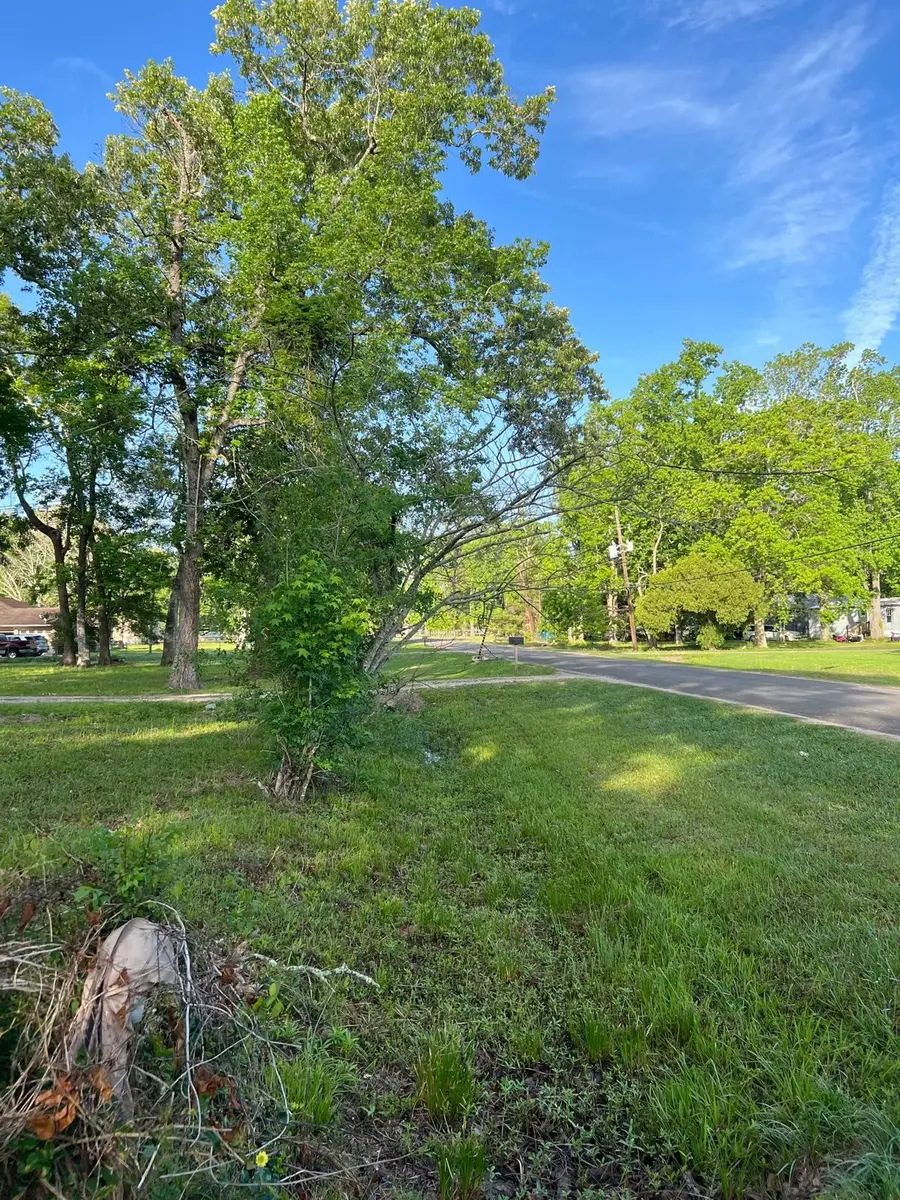 4922 Blackberry Lane, Old River Winfree, TX 77535 - #2