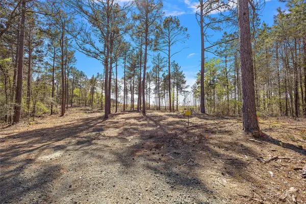 700 Piney Creek Estates Road, Timpson, TX 75975
