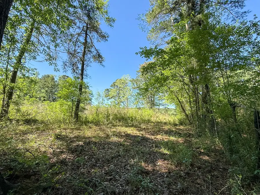 TBD Flat Road, Bronson, TX 75930 - #2