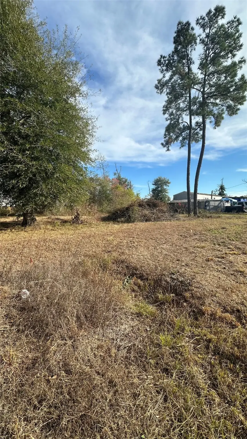 7119 Jessica Leann Drive, Conroe, TX 77306 - Image #1