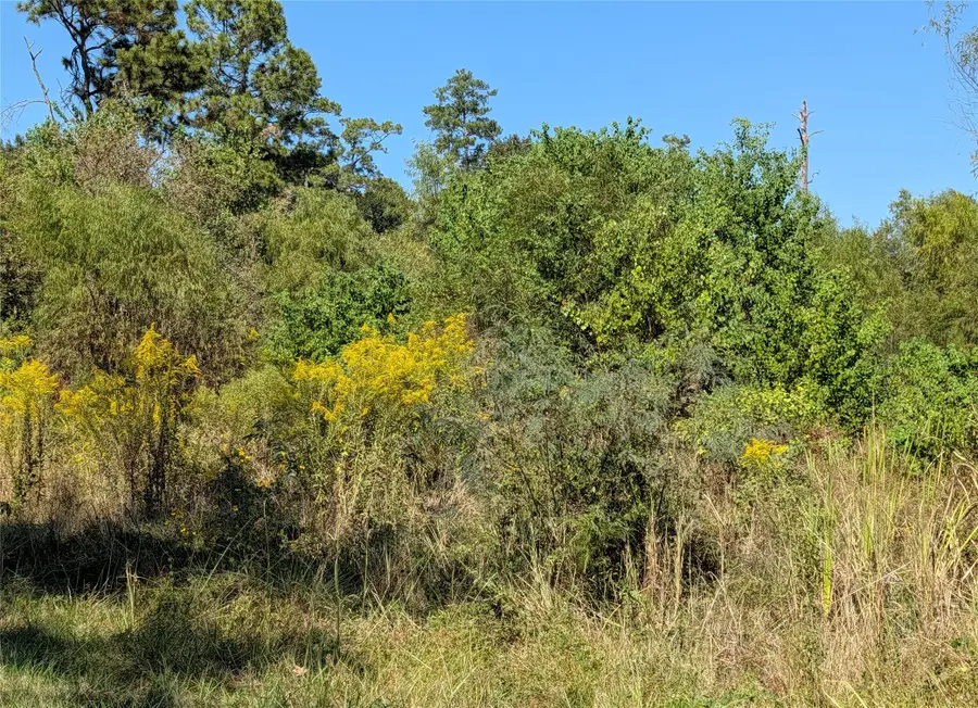 24795 Plantation Estates Circle, Porter, TX 77365 - Image #3