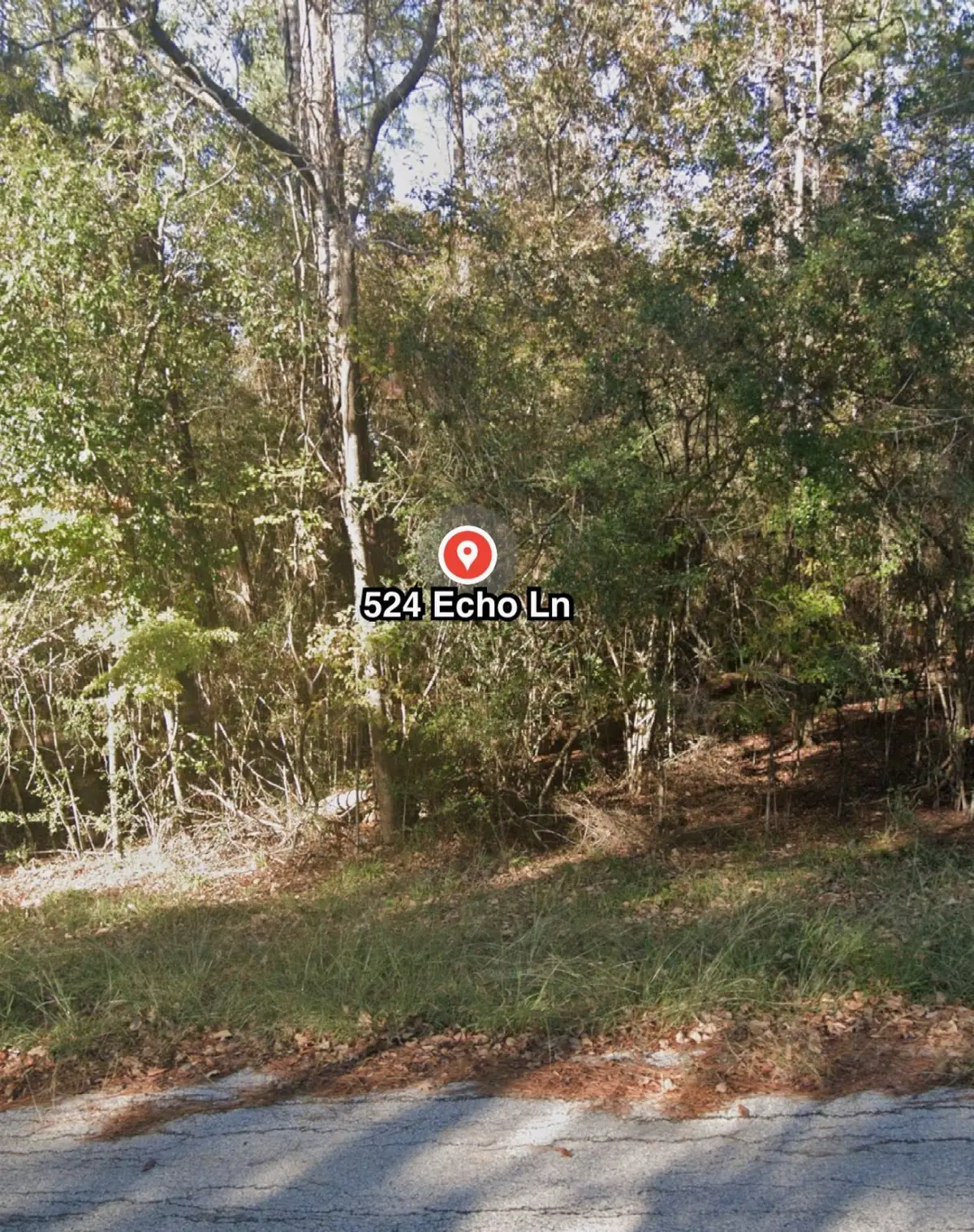 524 Echo Lane, Huffman, TX 77336 - Image #1