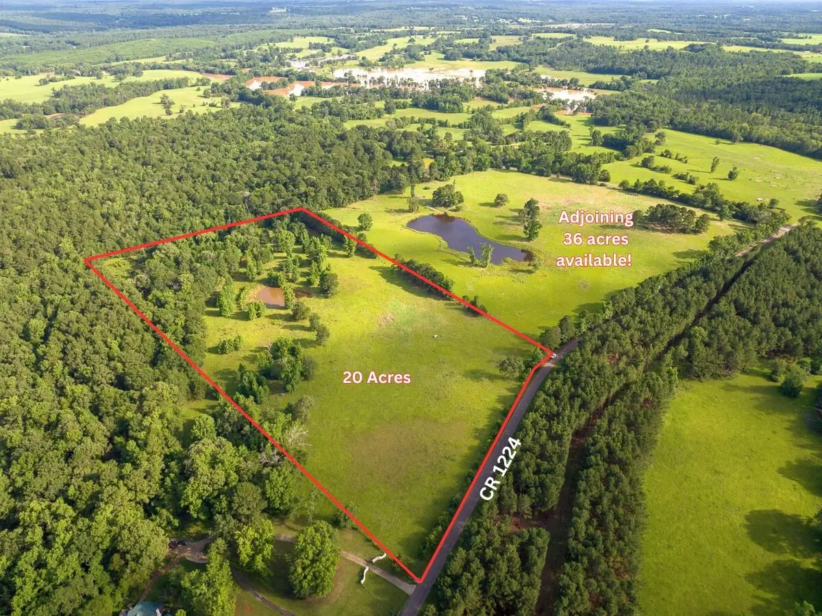 2 County Road 1224, Elkhart, TX 75839 - #1
