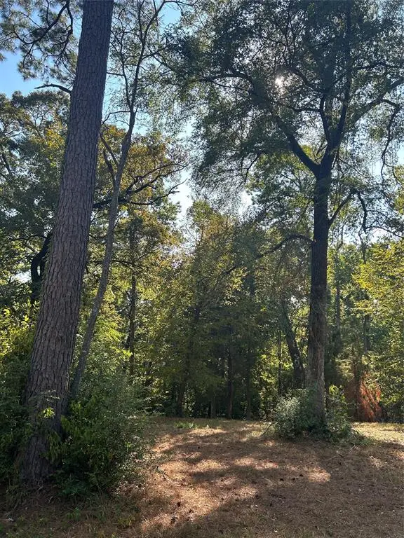 TBD Tiki Trail, Livingston, TX 77351 - #2