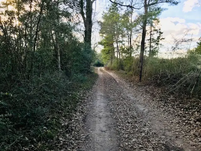 00 10 Ac Off Of Fm 1309, Lovelady, TX 75851 - Image #1