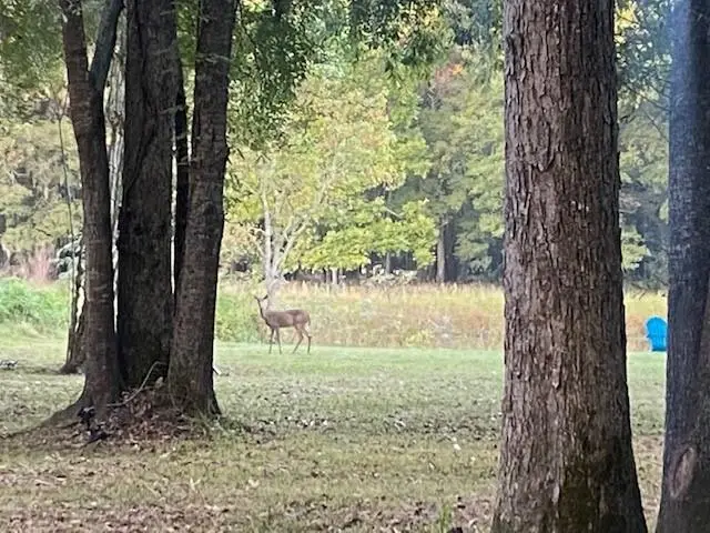 00 Sean Court, Cleveland, TX 77327 - Image #1