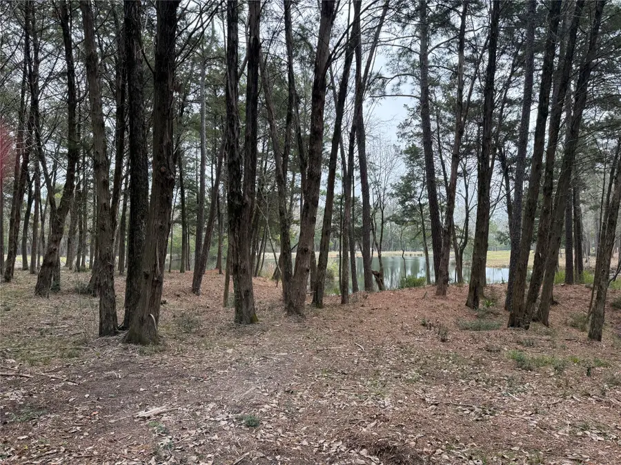 Lot 7 Block 2 Evergreen Hill Lane, Willis, TX 77378 - #3