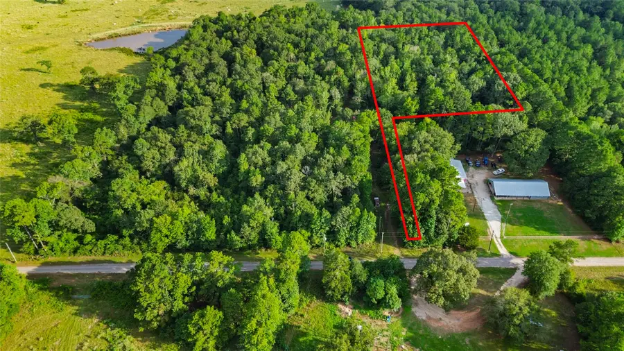 304 Hardy Bottom Road, Huntsville, TX 77340 - #2