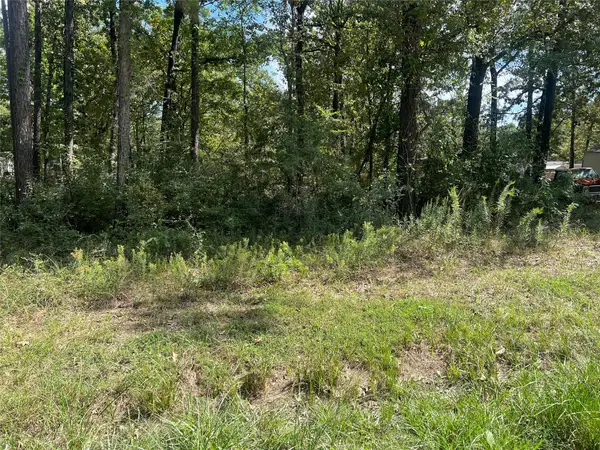 TBD Meridian Lot 22, Livingston, TX 77351