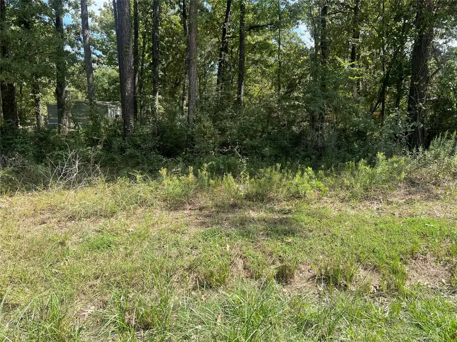 TBD Meridian Lot 22, Livingston, TX 77351 - #2